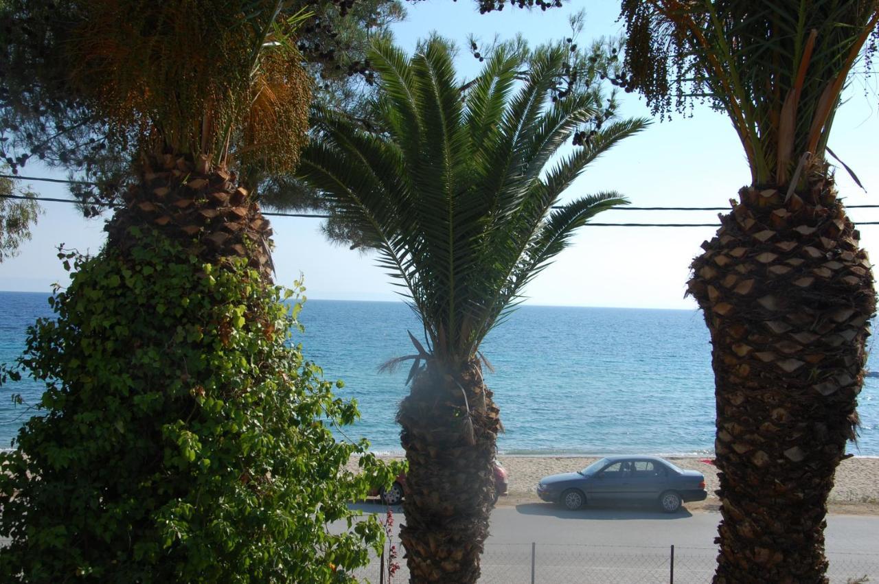 Villa Miranda Nikiti  Exterior photo