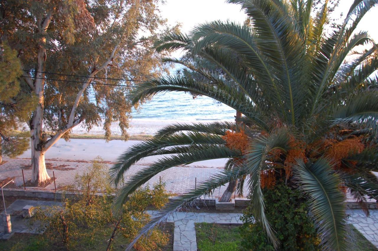Villa Miranda Nikiti  Exterior photo