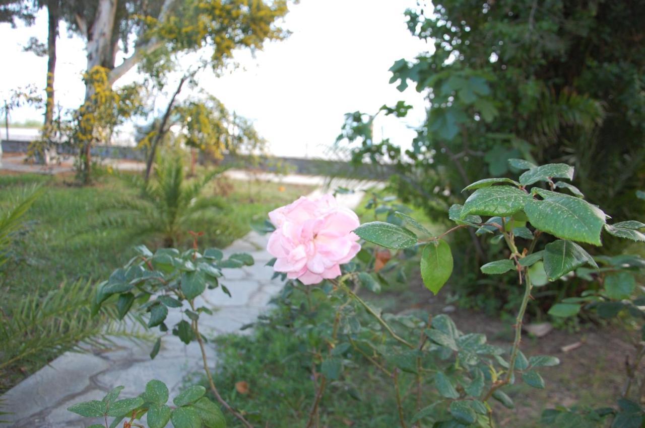 Villa Miranda Nikiti  Exterior photo